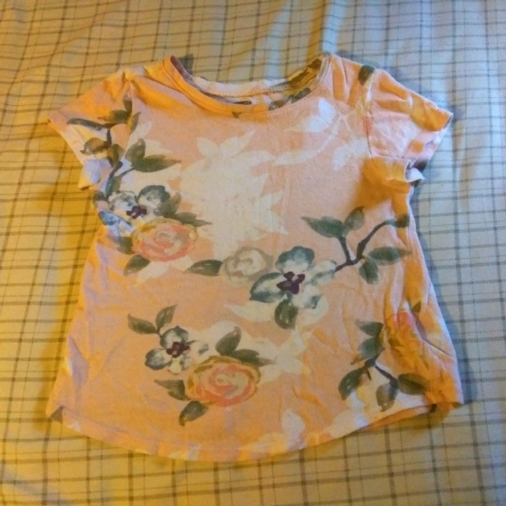 2 toddler girl shirts 3T